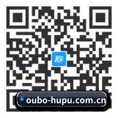 华为专区版 二维码